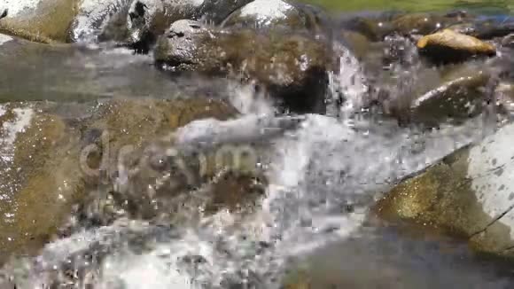 亚利桑那州橡树溪峡谷一个超级近水流过橡树溪的岩石视频的预览图