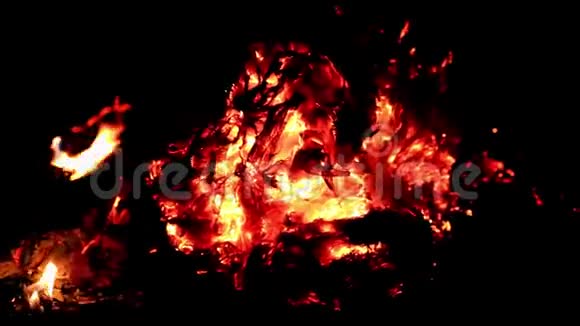 在篝火里烧柴火火焰在烤架上燃烧着烟雾视频的预览图