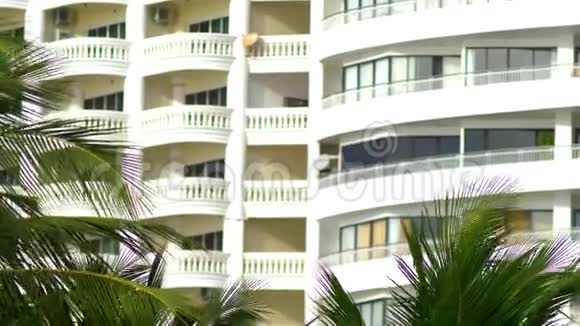 摩天大楼背景上的棕榈叶视频的预览图