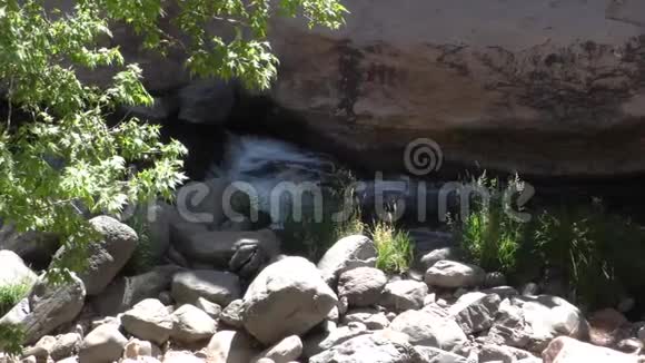 亚利桑那州滑石一个横跨橡树溪的平底锅瀑布树木和岩石视频的预览图