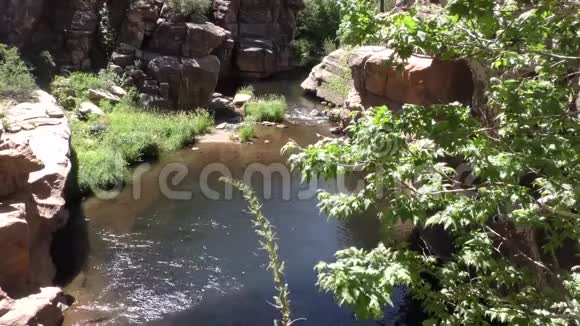 亚利桑那州滑石橡树溪流经树木和陡峭的岩石的景色视频的预览图