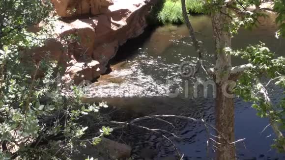 亚利桑那滑石橡树溪的景色和从岩壁上看到的流水视频的预览图