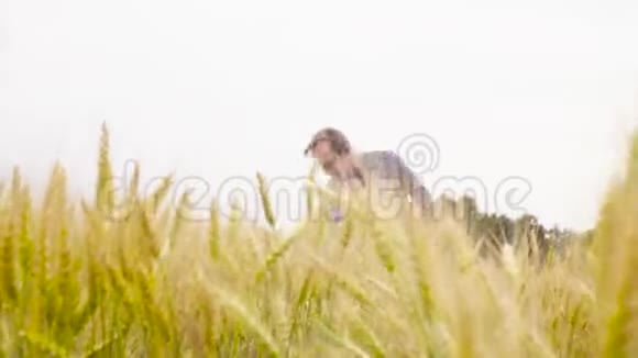 一个研究小麦的生态学家视频的预览图