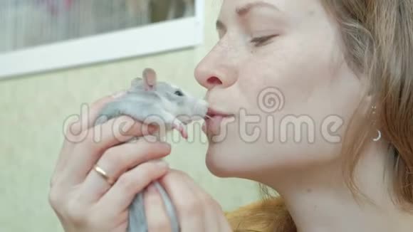 年轻女子抱着一只老鼠爱她玩她一只啮齿动物一只宠物视频的预览图