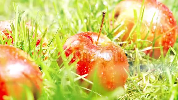 在草地上的红苹果上浇水慢镜头视频的预览图
