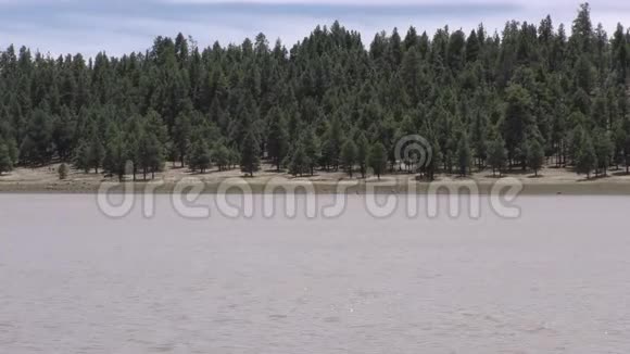 亚利桑那玛丽湖放大上玛丽湖对岸的树木视频的预览图