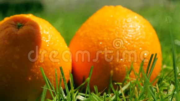 慢镜头成熟的橙色落在草地上视频的预览图