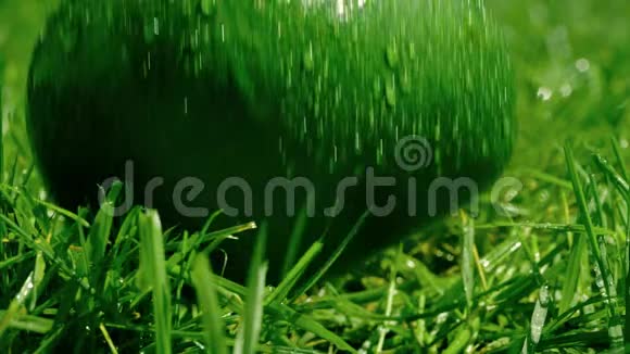湿绿的鳄梨落在草地上慢镜头视频的预览图