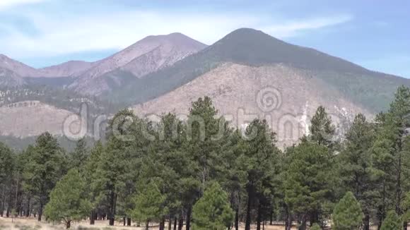 亚利桑那州日落火山口放大旧金山峰顶前景是树木视频的预览图