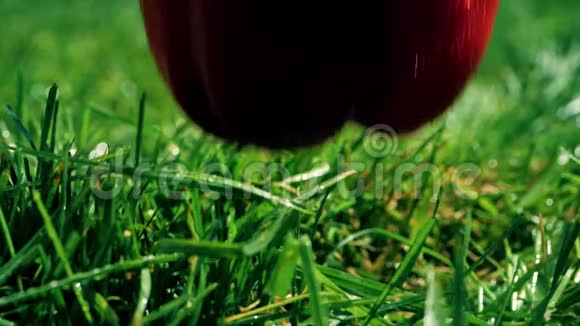 慢镜头湿红甜椒落在草地上视频的预览图