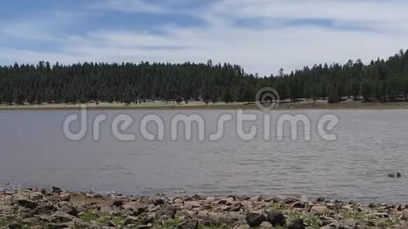 亚利桑那州玛丽湖从右到左的横跨上湖玛丽的平底锅背景是树视频的预览图