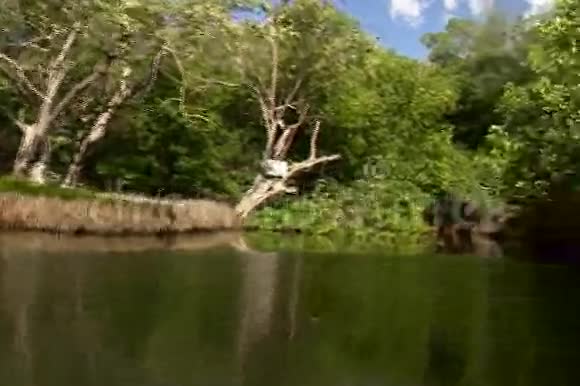 带红树林的泻湖视频的预览图