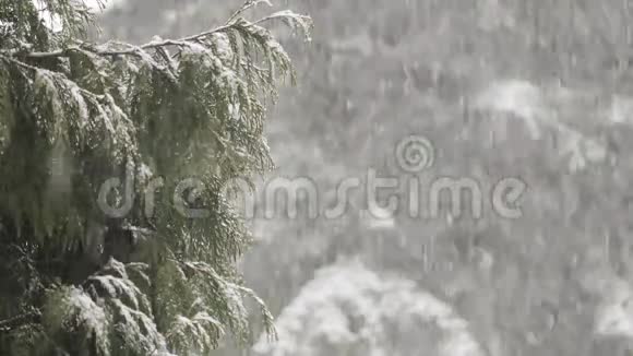 严重的冬季暴风雪视频的预览图