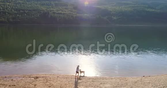 阳光明媚的4K4k天气女人在河边玩她的狗视频的预览图