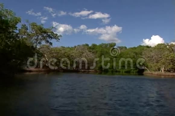 带红树林的泻湖视频的预览图