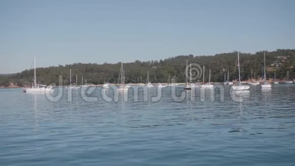 港口里的船澳大利亚的伊甸园视频的预览图