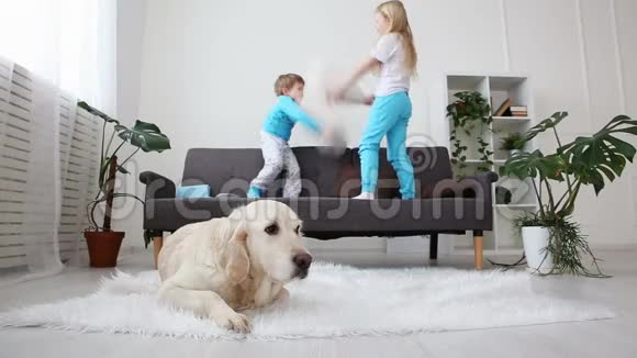 兄妹俩在客厅的沙发上玩枕头金毛猎犬躺在地板上生活视频的预览图