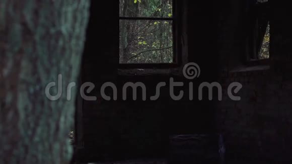 树林里的老建筑视频的预览图