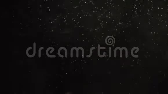 真正的雪落在黑色的背景上视频的预览图