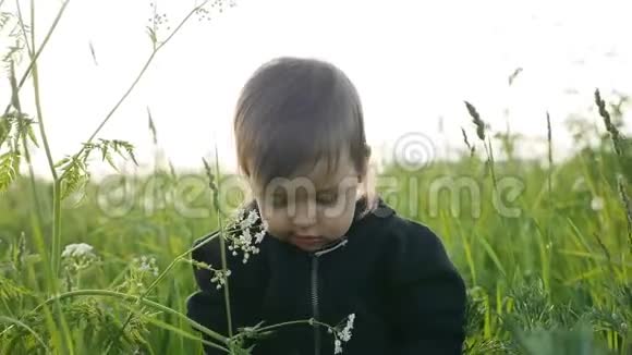小男孩坐在高高的绿草上学习视频的预览图