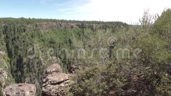 亚利桑那州橡树溪峡谷橡树溪峡谷的山顶和树木视频的预览图