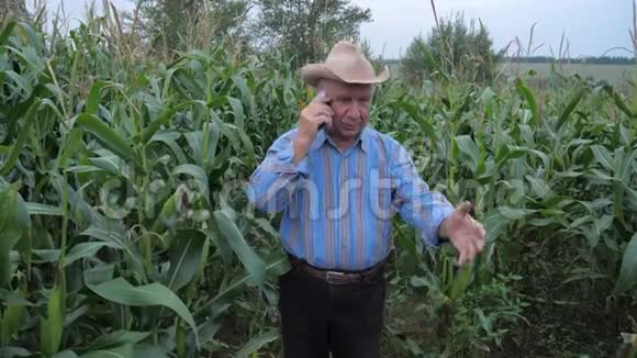 农夫站在玉米地里打电话讨论收获视频的预览图
