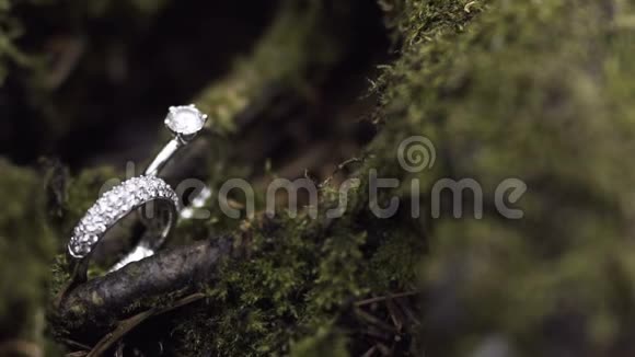 绿色苔藓上的结婚戒指视频的预览图