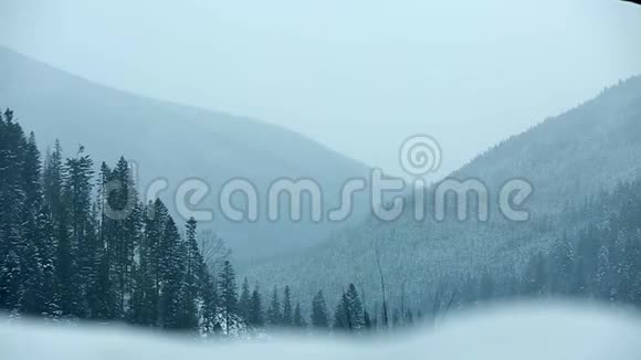 雪谷的雾状乡村山上有松树和云杉林覆盖着雪多层次视频的预览图