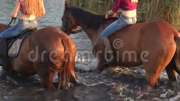 两个骑马的女孩在湖里给马洗澡视频的预览图