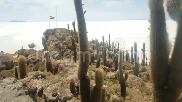 玻利维亚乌尤尼萨拉的全景以世界上最大的盐坪看休眠火山阿古阿斯视频的预览图
