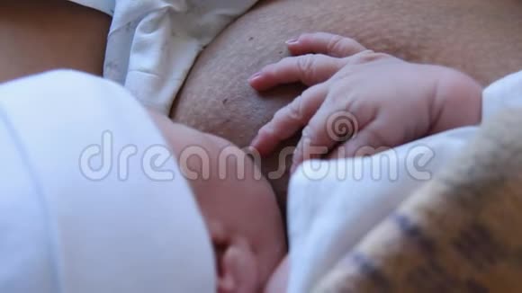 母亲抱着新生儿拥抱和母乳喂养她的婴儿婴儿头部的特写温柔和母亲的关怀视频的预览图