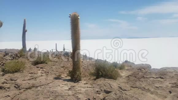 玻利维亚乌尤尼萨拉的全景以世界上最大的盐坪看休眠火山阿古阿斯视频的预览图