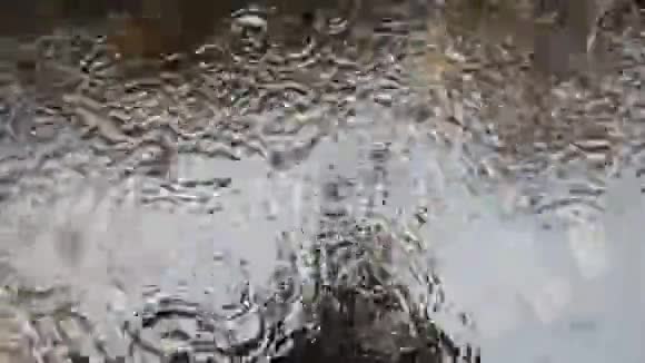 温暖的夏雨滴在水坑里荡漾视频的预览图