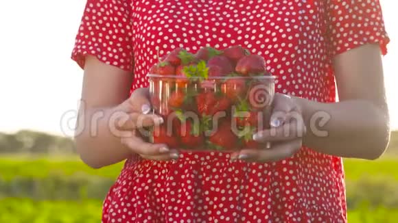 年轻女孩拿着装满红色多汁草莓的塑料盒子视频的预览图