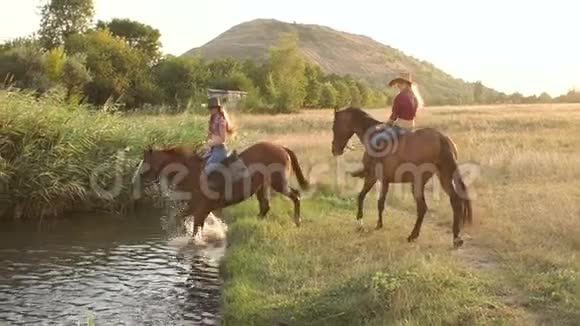 夏天女孩和他的马在湖里洗澡视频的预览图