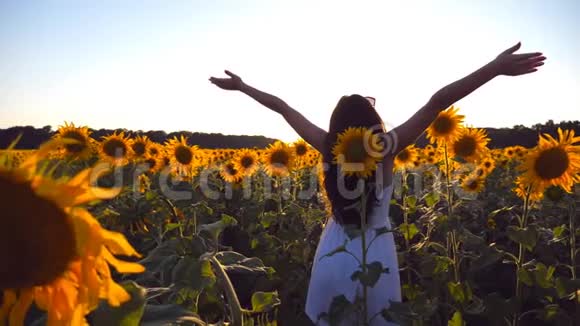 年轻女孩站在向日葵的田野上举起双手女人享受风景和自由视频的预览图