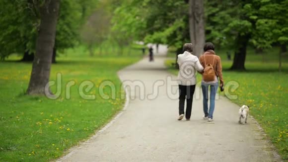 漂亮的成年女儿和她美丽的母亲在春天的公园里和小狗一起散步视频的预览图