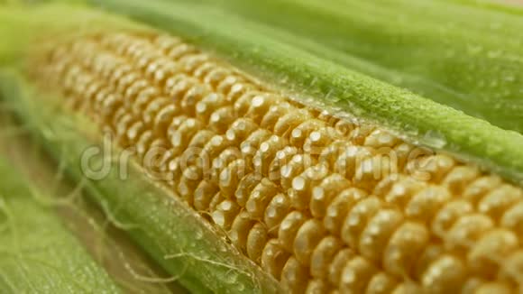 新鲜玉米粒和绿叶的水滴视频的预览图