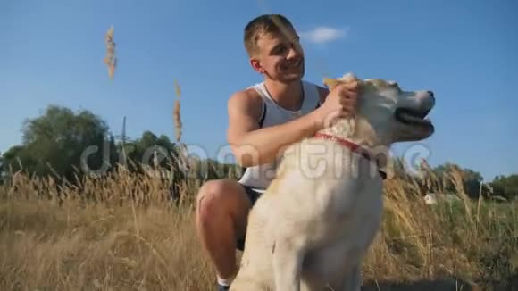 年轻人坐在草地上抚摸他的拉布拉多犬他在大自然中和他的宠物在一起爱和爱视频的预览图