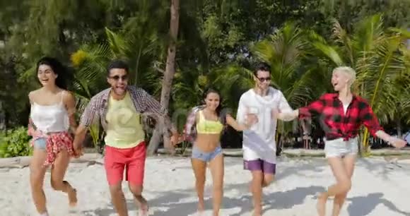人们团体在沙滩上牵手奔跑男女混合快乐享受自由朋友一起度假视频的预览图