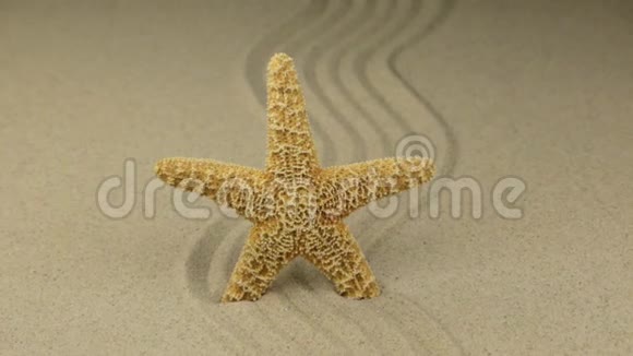 放大美丽的海星躺在由沙子做成的锯齿形上视频的预览图
