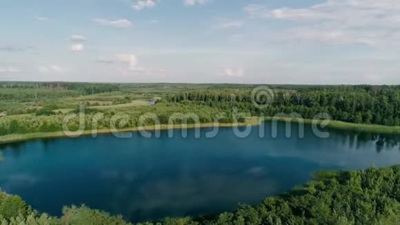 空中无人机镜头在森林周围的湖泊中飞翔视频的预览图