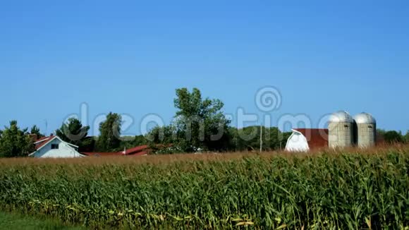 美国乡村农场有玉米种植场和蓝天视频的预览图