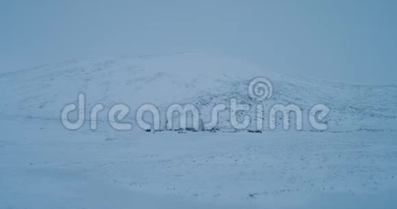 北极的人们住在冻土带中间的蒙古包里视频的预览图
