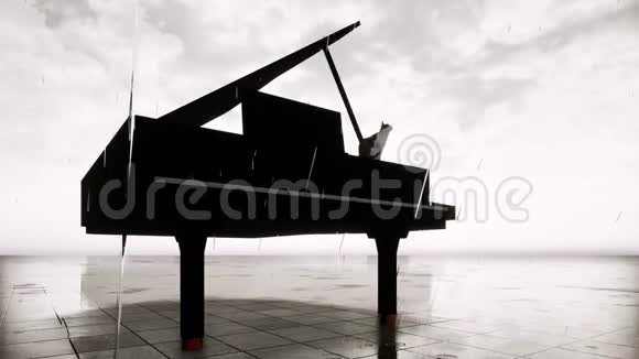 在钢琴键盘或风琴上洗澡的滑稽猫视频的预览图