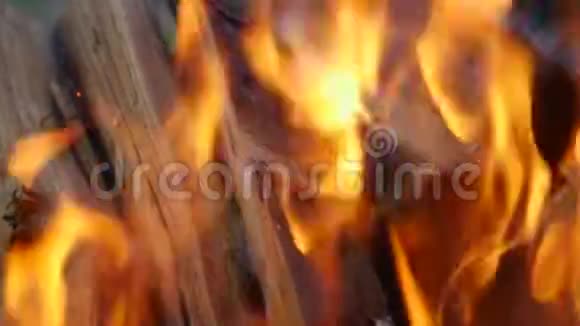 高清关闭一个火与木材燃烧的原木视频的预览图