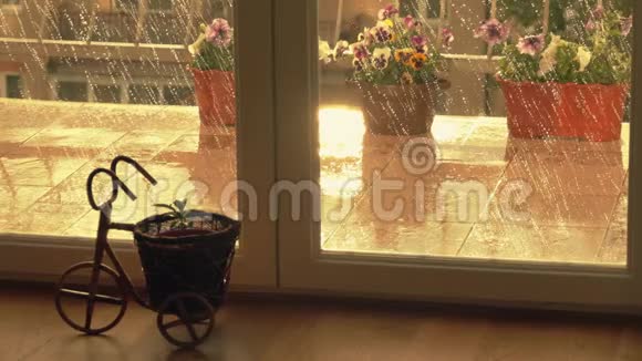 夏雨中露台上的盆栽花视频的预览图
