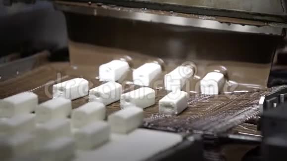 生产巧克力巧克力在生产线上倒入糖果食品加工厂生产线视频的预览图