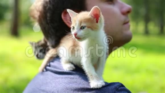 可爱的小猫坐在年轻人的肩膀上视频的预览图