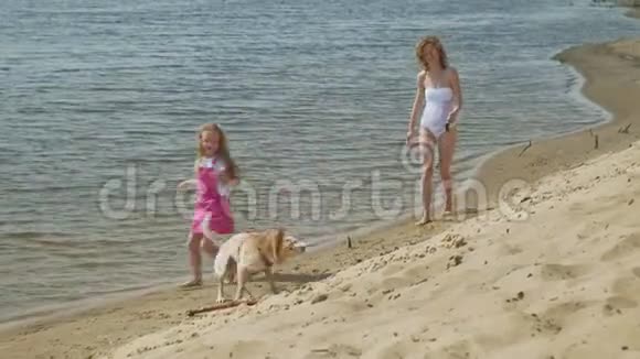 母女俩带着一只狗沿着河岸奔跑夏日阳光明媚家庭假日视频的预览图